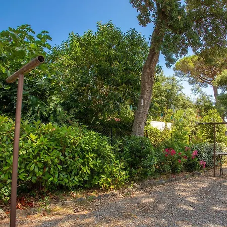 Apartmán 80m² Dans Piscine Fréjus